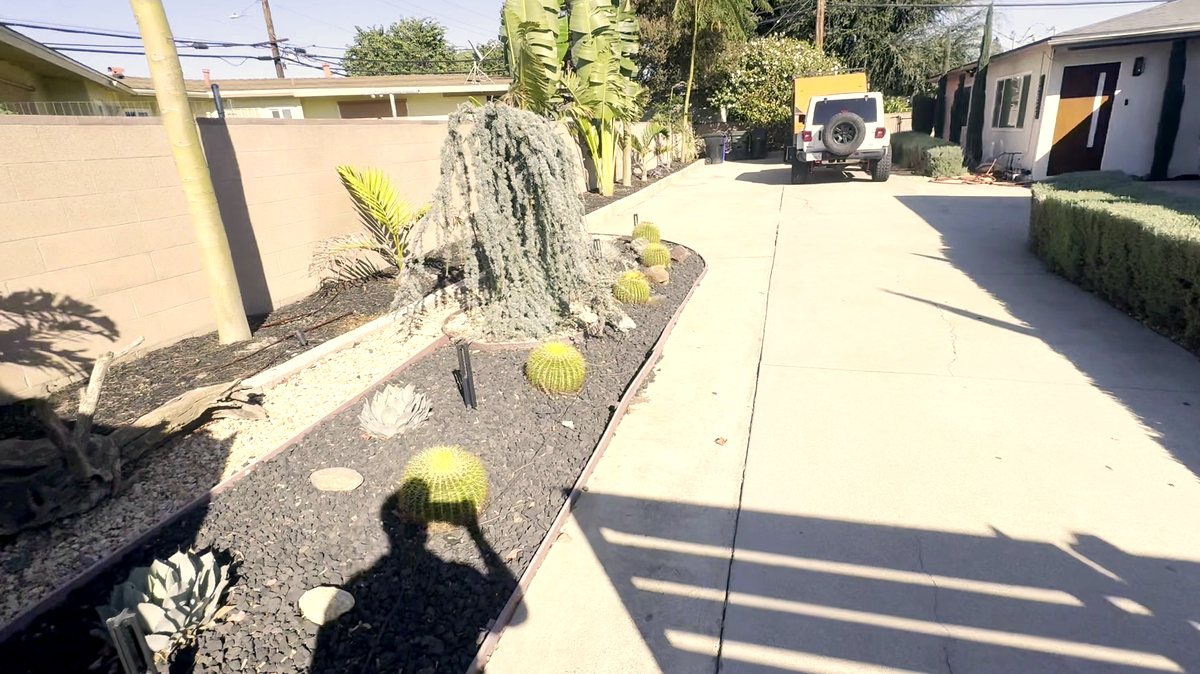 Desert-landscaped side yard with mature palms at a gated recovery residence in Montclair, CA